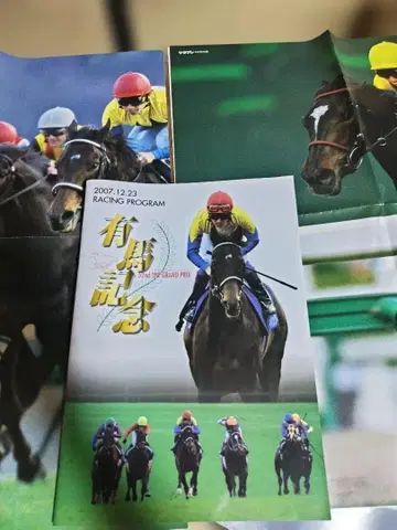 경마 은퇴품