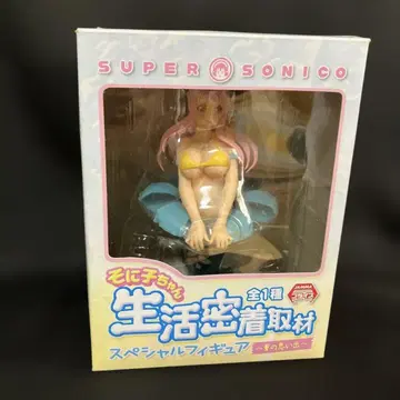 소니코 생활 밀착 취재 여름의 추억 미개봉