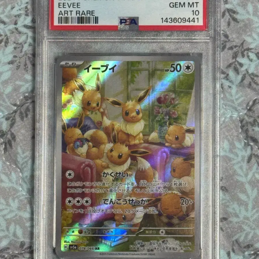 graded pokemon card Graded Eevee EX Japanese Pokémon Card main image 0