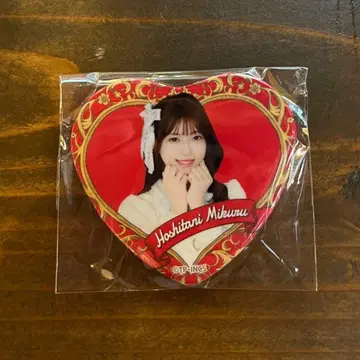 호시타니 미라이 캔뱃지 타카네노 나데시코