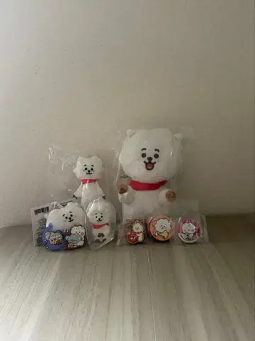 BTS bt21 RJ 굿즈