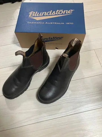 blundstone 클래식 월넛