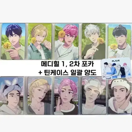 플레이브 포카
