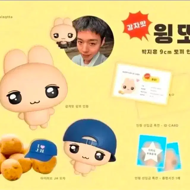 빅지훈 윙또 일괄 판매합니다!!