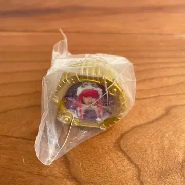 고쥬우쟈 센타이링 파이널 라이브 투어 부케