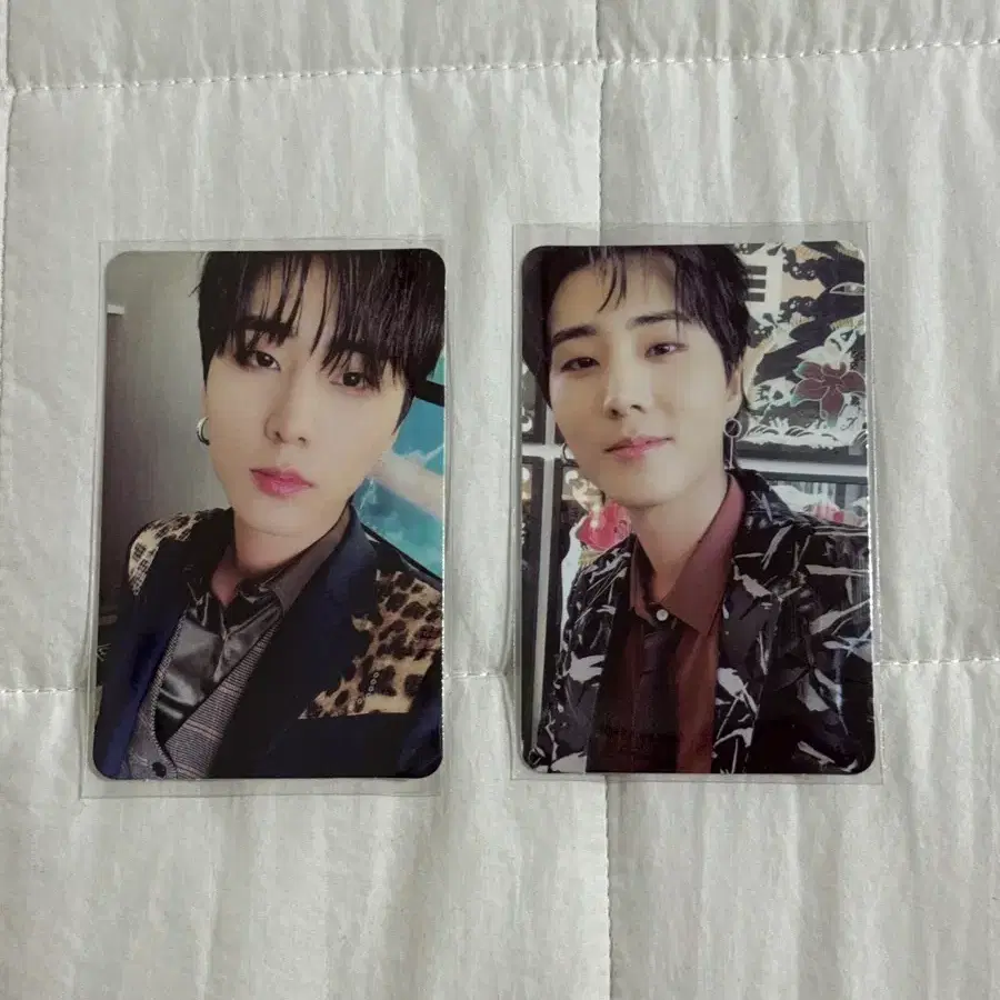 Day 6 Young-K Young-K Baby Photocard | Bunjang Global