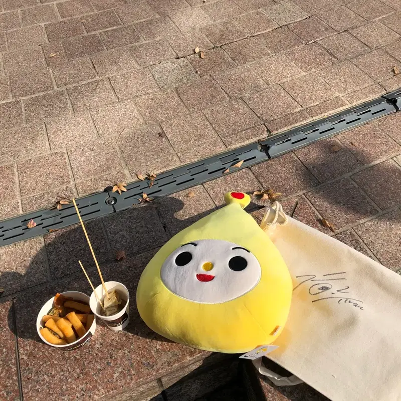 박지훈 360 공방포카, 친필사인 에코백, 환경부 나우 인형