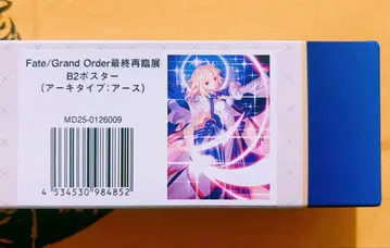 fgo 최종 재림전 아키타입 어스 월희 B2 포스터