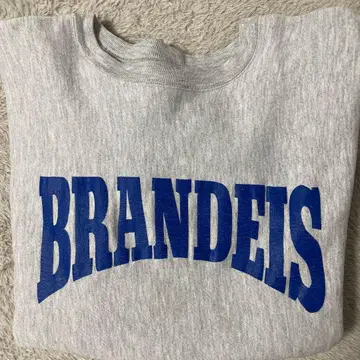 Champion REVERSE WEAVE 챔피온 리버스 위브