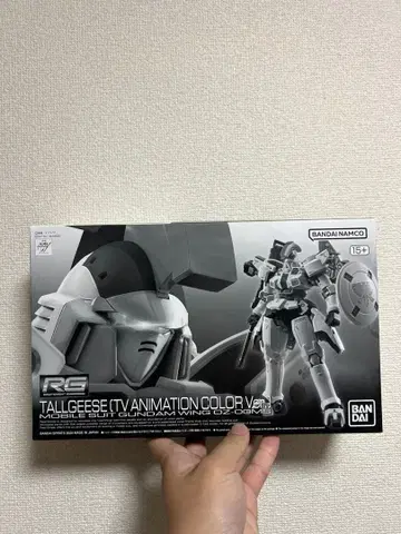 RG 1/144 톨기스 (TV 애니메이션 컬러 Ver.)