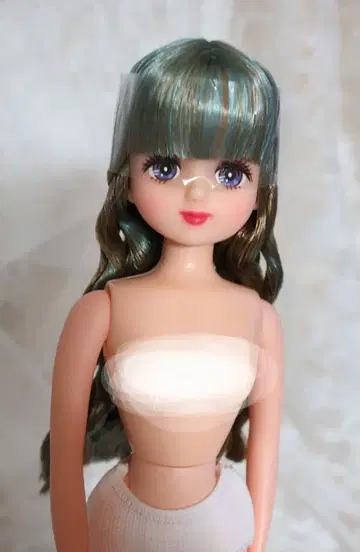 즐거운 인형 팔레트F 인형 본체