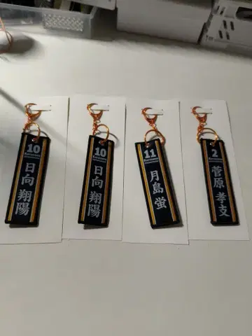 하이큐!! 다이토 복권 플라이트 스트랩