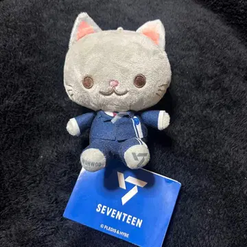 SEVENTEEN 고양이 봉제 인형 수트 약 15cm 원우