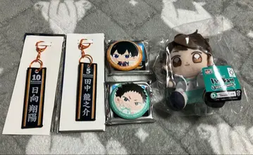 하이큐 다이토 복권 오이카와, 카게야마, 이와이즈미, 히나타, 다나카
