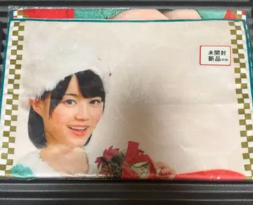 미개봉 새상품 최저가 전 노기자카46 이쿠타 에리카 크리스마스 타월