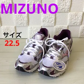 MIZUNO 워킹화 웨이브 호크 22.5cm 폭넓은 3E 상당
