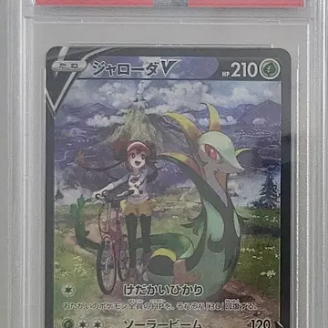 PSA10 포켓몬 카드 샤로다 V csr 일판