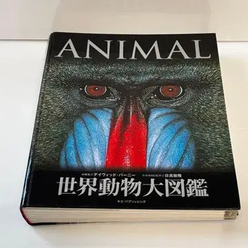 세계 동물 대도감 ANIMAL [일부 하자 있음 양품] 동물도감 생물도감