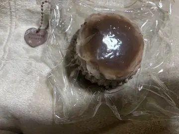 xiaorong RonRon 샤오롱 롱롱 푸딩