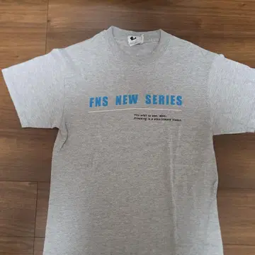 Hanes GOODENOUGH Finesse T셔츠 M 그레이