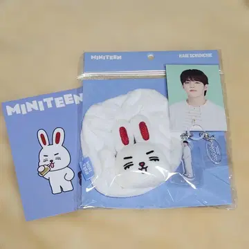 세븐틴 약속 스크런치 메지루시 에스쿱스 트레이딩 카드 엽서