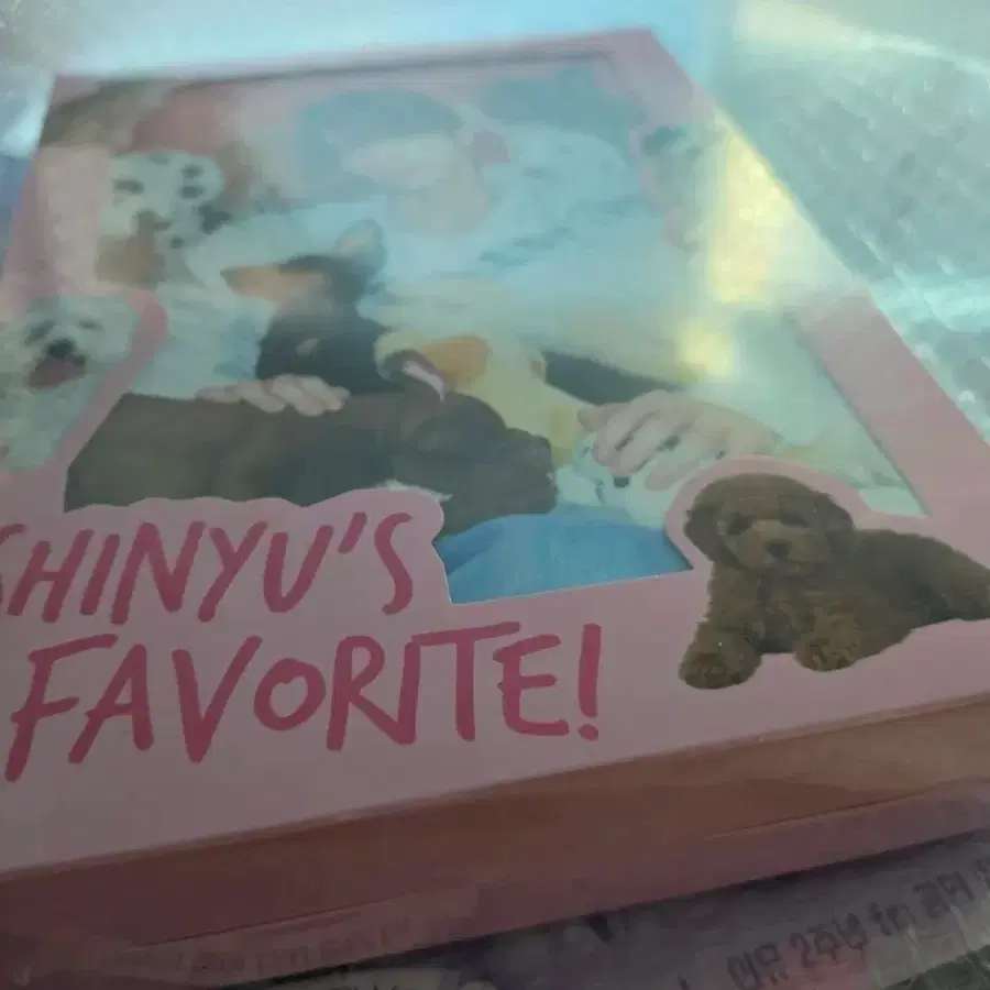 SHINYU'S FAVORITE BOX Tws Shinyu birthday buncheol | Bunjang Global