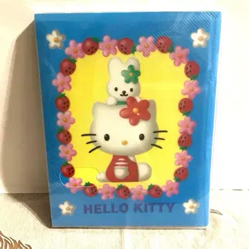 초레어 헤이세이 레트로 1997 산리오 헬로키티 카오하나 사진 앨범