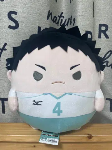 하이큐 후와코로링 BIG 이와이즈미