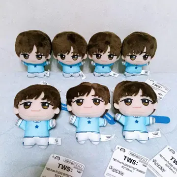 남코 한정판 TWS 투아스 SD 인형 vol.1 지훈