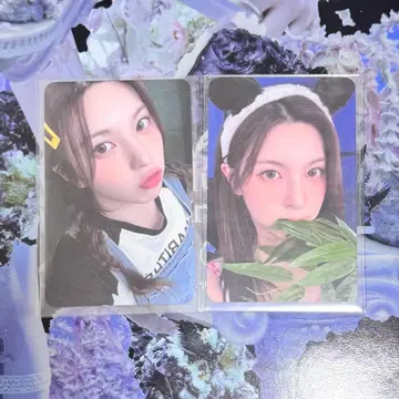 NMIXX 베이 AMND everline 럭키 드로우 포토카드 2장
