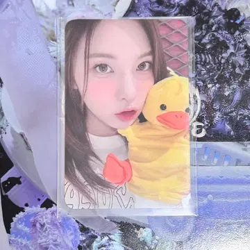 NMIXX 베이 AMND 에버라인 럭키 드로우 포토카드