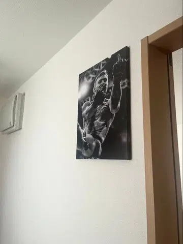 UFC 코너 맥그리거 캔버스 포스터 그림