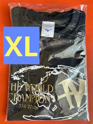 이노우에 나오야 도쿄돔 한정 후원회 T셔츠 XL 팜플렛 포함