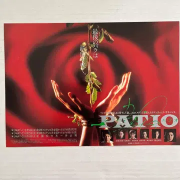 스크린 달력 1993 안내 팜플렛 PATIO 파테오 키쿠치 모모코