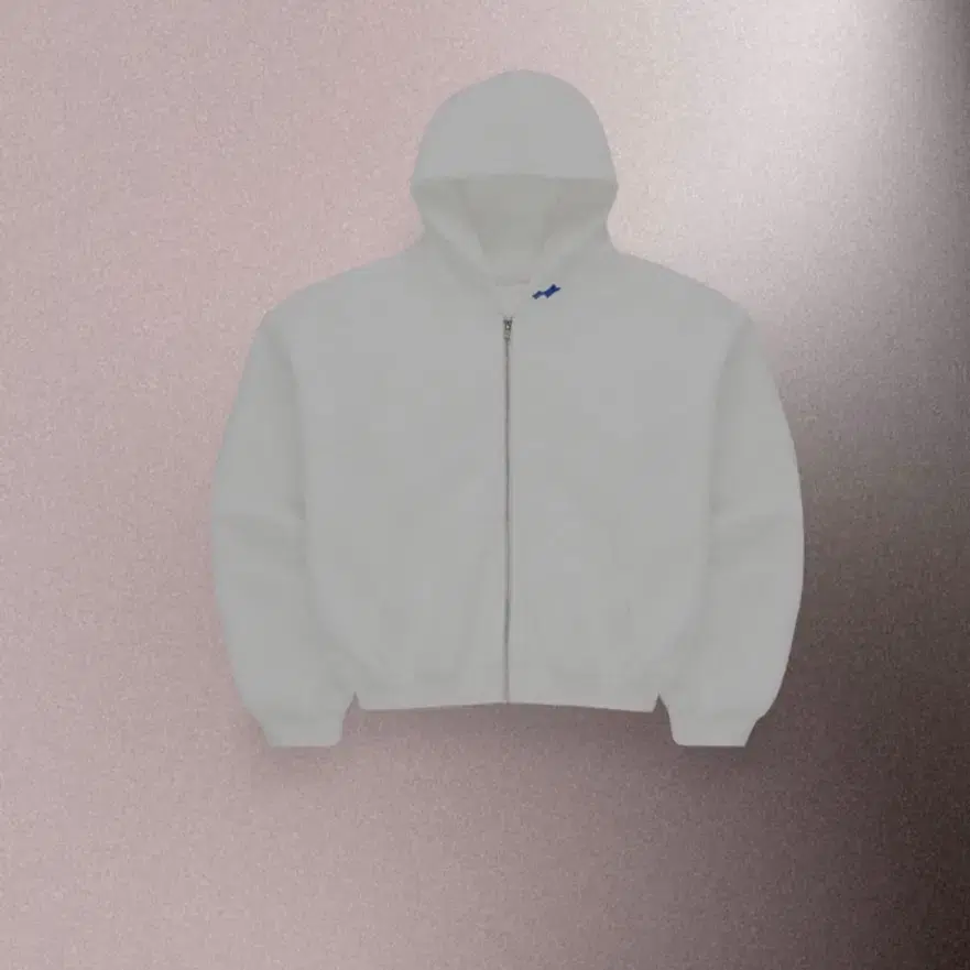 skylrk Tokyo Exclusive Sweatshirt | Bunjang Global