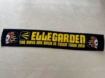 ELLEGARDEN THE BOYS ARE BACK in TOWN TOU