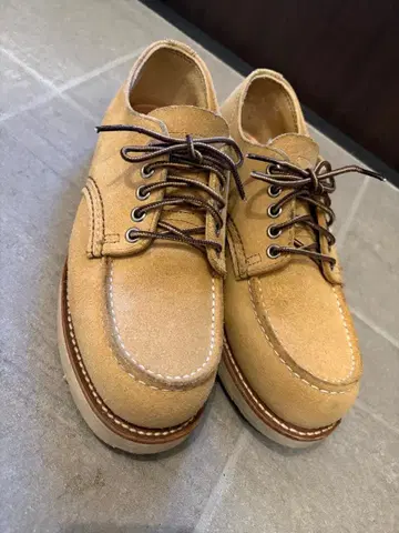 RED WING 8079 아이리쉬 세터 스웨이드 모크토