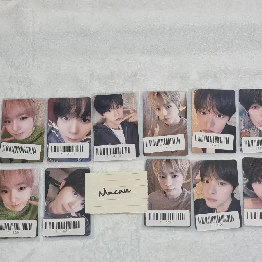 Set) Nct Wish Color Palette Showcase Unreleased Photocard Poca