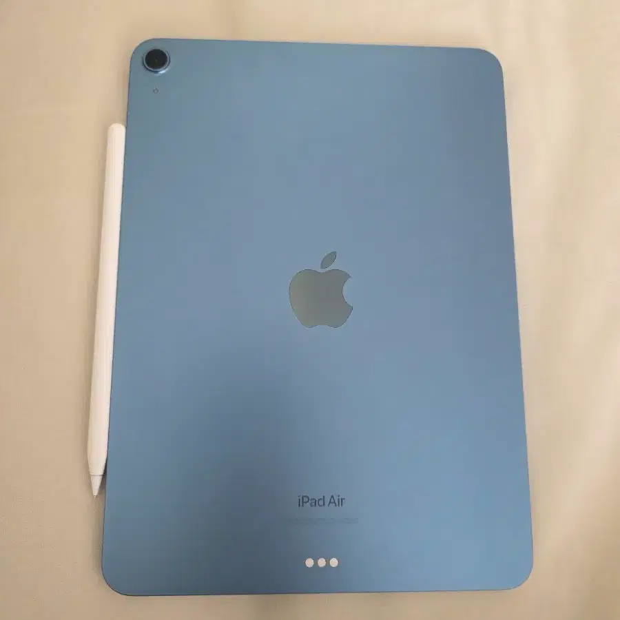 iPad Air 4 256GB + Apple Pencil 2nd Generation on Bunjang Global Site.