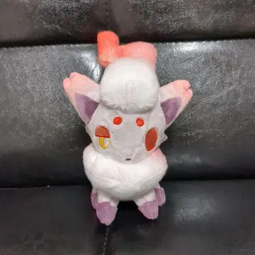 포켓몬 센터 비슷한 것끼리 비취 조로아 봉제 인형