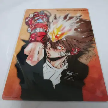 가정교사 히트맨 REBORN! 사와다 츠나요시 고쿠데라 양면 책받침