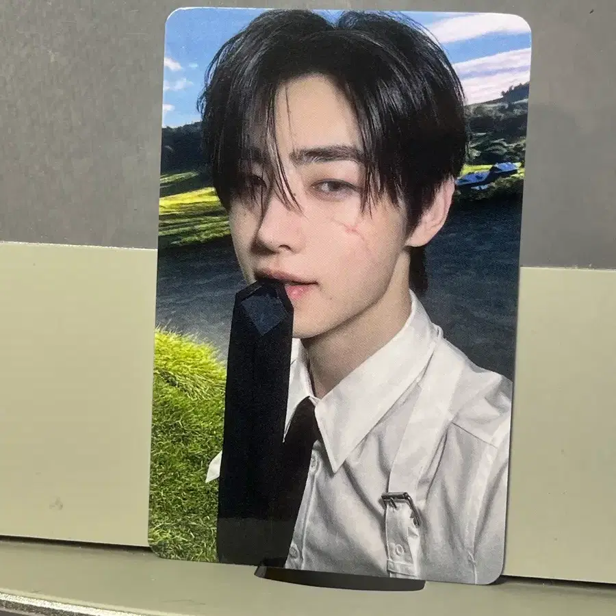 Enhypen Jungwon] Romance Untold Daydream yizhiyu poca | Bunjang Global