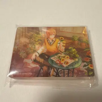 프로세카 시노노메 아키토 노블 아트 해바라기 44