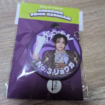 초특급 돈치키랜드 료가 응원 보이스 키링 가치무츄 회장 한정품
