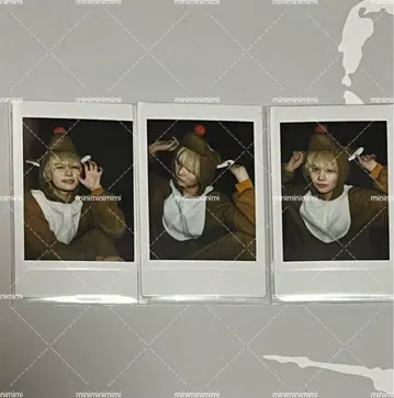 AVAM 길경꽃향 란 폴라로이드
