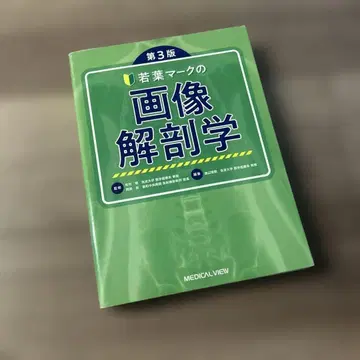 초보 운전 마크 이미지 해부학