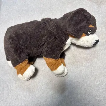 레어 IKEA 이케아 버니즈 마운틴 강아지 봉제 인형