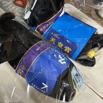 다이토 복권 이퀴녹스 A상 LH상 2체 세트