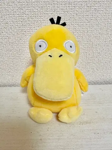포켓몬 fit 코닥