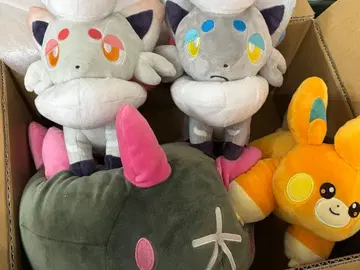 포켓몬 센터 봉제 인형 4체 색이 다른 비취 조로아 파모 나마코부시